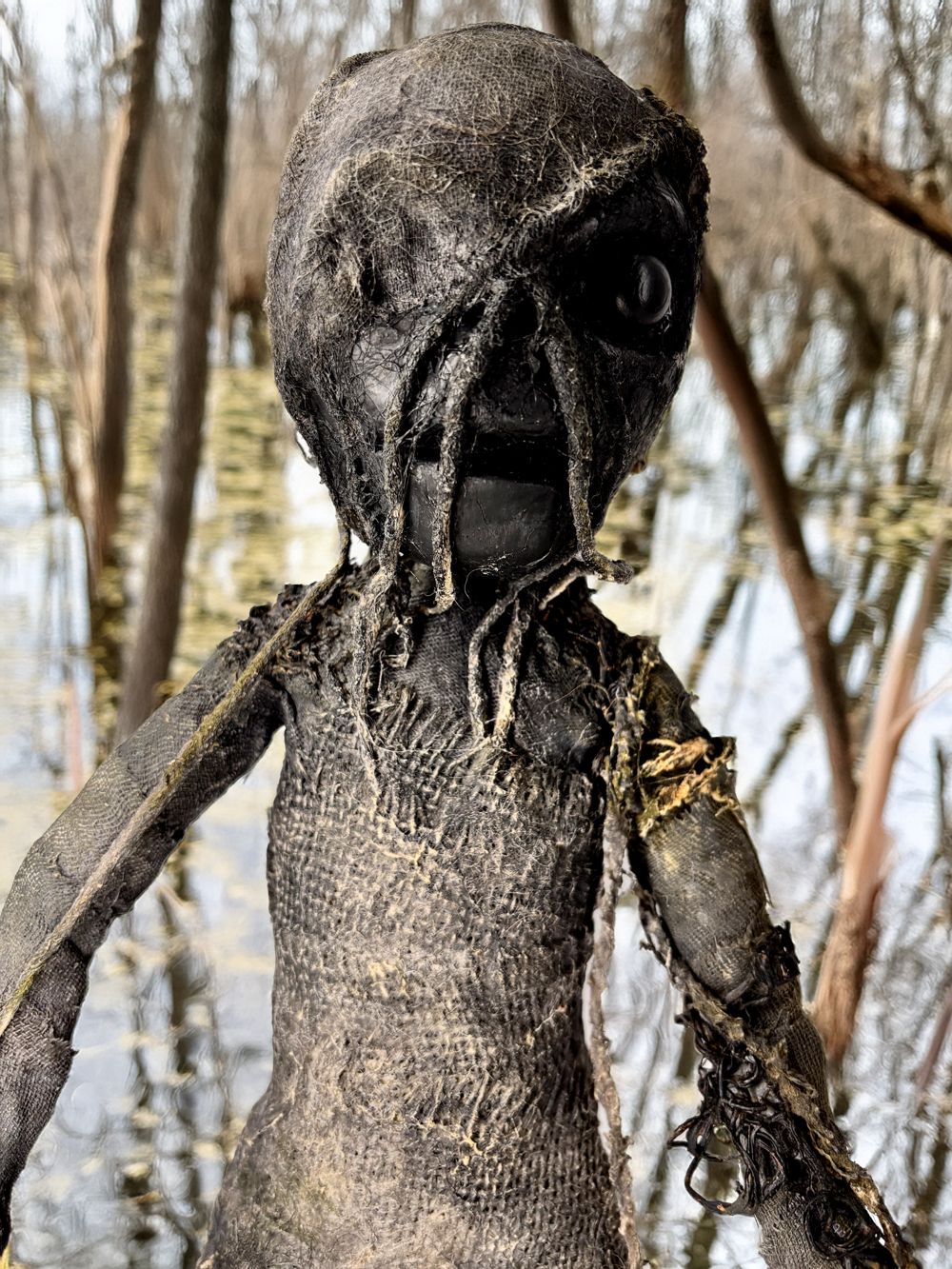 Swampy